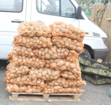 Constănţean sancţionat la Tulcea pentru varză şi cartofi